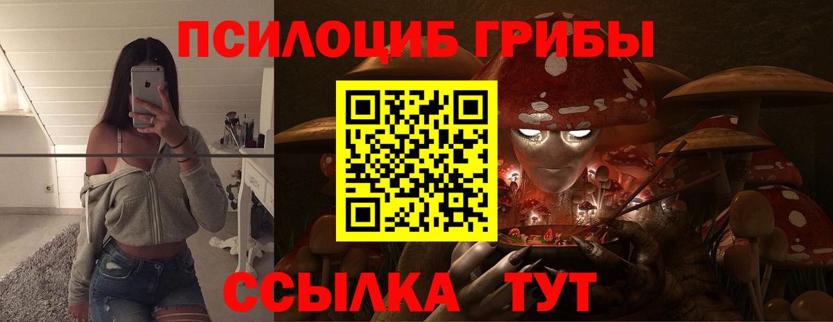 Псилоцибиновые грибы Cubensis Артём