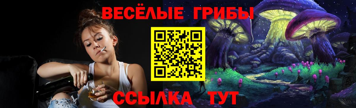 Галлюциногенные грибы Magic Shrooms  Псилоцибиновые грибы мицелий  Артём  Вход с VPN 